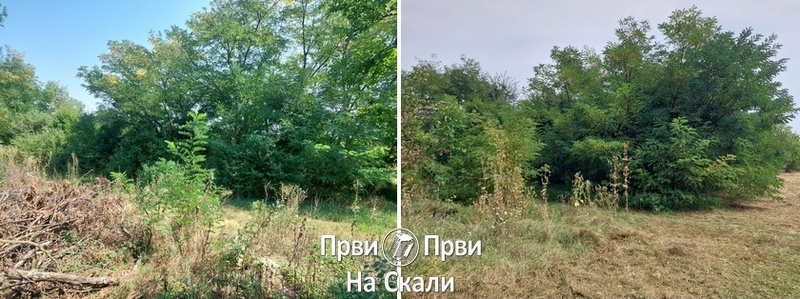 PRVI PRVI NA SKALI Ekologija Kragujevac Po prijavi građana, pokošena površina uz Gornjomilanovačku 3