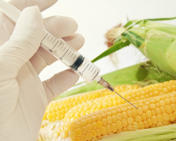 Predlogom Brisela o GMO svi nezadovoljni
