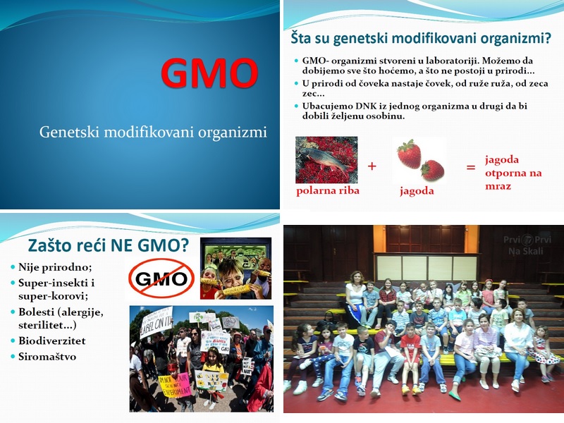 Deci o GMO - dr Tatjana Papić Brankov