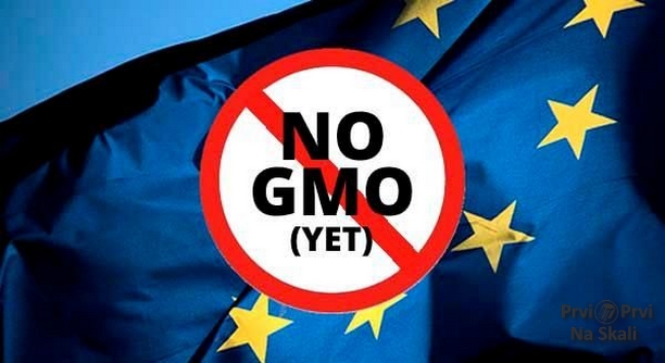 Protiv GMO većina članica EU