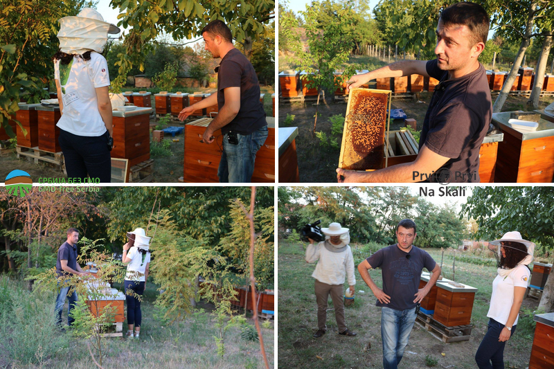 Pčelaru uništeno 131 pčelinje društvo - sumnja u totalni herbicid