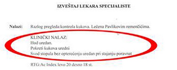 izvestaj