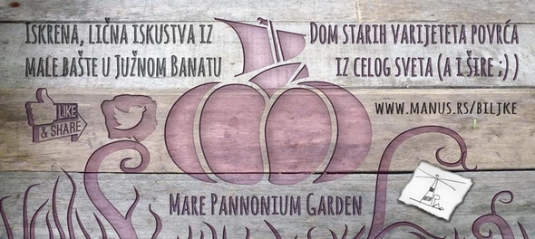 PRVI PRVI NA SKALI Panika u tanjiru - iz neznanja 2
