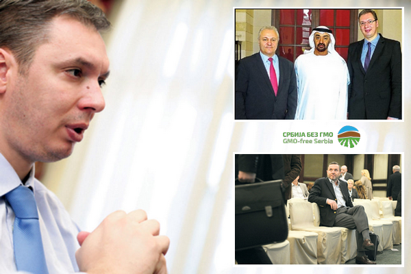 PRVI PRVI NA SKALI Kupac PKB-a Al Dahra gaji GMO sorte u Namibiji Vojin Lazarevic Aleksandar Vucic Mladjan Dinkic