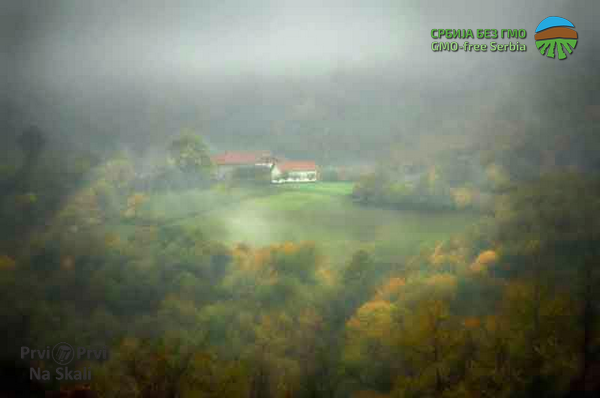 PRVI PRVI NA SKALI Po Zakonu o GMO u Srbiji 3.955 tona zabranjenih posiljki 2013-2017 Foto Zoran Petrovic 4