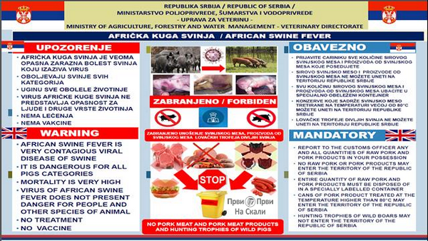 PRVI PRVI NA SKALI Africka kuga svinja u okolini Mladenovca info