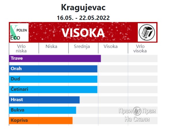 PRVI PRVI NA SKALI Kragujevac Aplikacija Xeco Polen na portalu Prviprvinaskali.com 2022 2