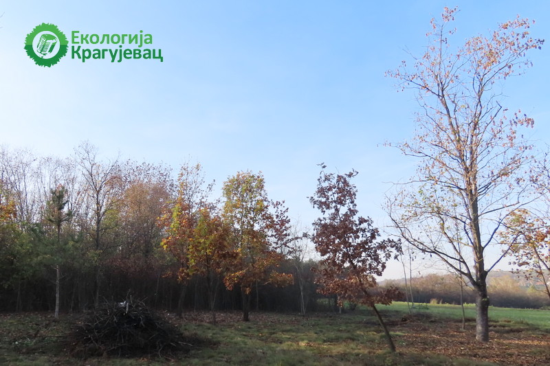 PRVI PRVI NA SKALI Ekologija Kragujevac Botanička bašta u Kragujevcu 4 PRVI PRVI NA SKALI Ekologija Kragujevac Botanička bašta u Kragujevcu 4