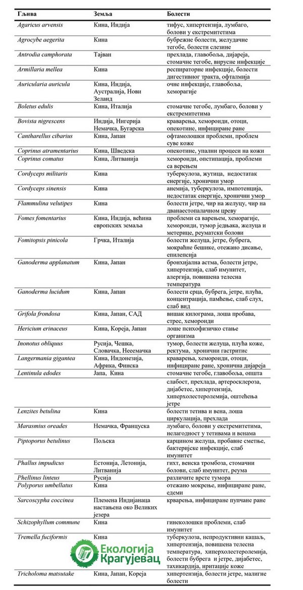 PRVI PRVI NA SKALI Ekologija Kragujevac Gljive kao lek- tabela