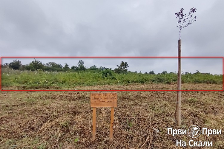 PRVI PRVI NA SKALI Metino brdo delimično pokošeno i ponovo sa mini deponijama 2 PRVI PRVI NA SKALI Metino brdo delimično pokošeno i ponovo sa mini deponijama 2