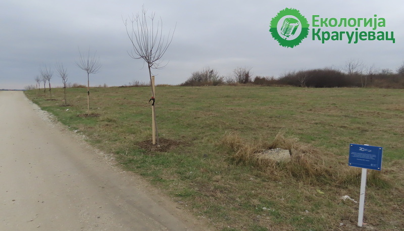 PRVI PRVI NA SKALI Briga i nebriga na Metinom Brdu 1