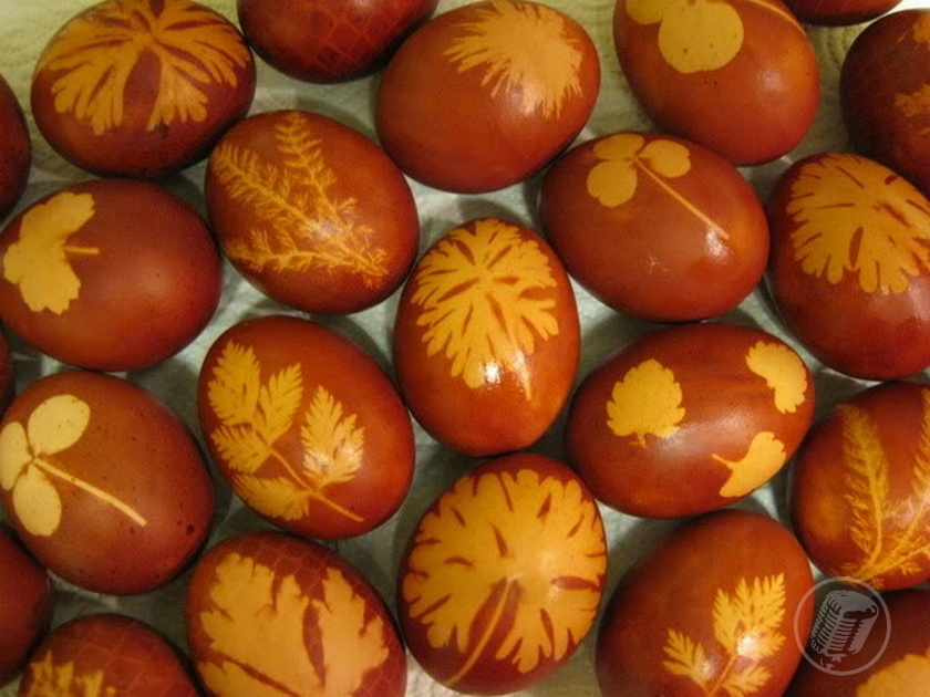 prvi_prvi_na_skali_tradicionalno_farbanje_jaja prvi_prvi_na_skali_tradicionalno_farbanje_jaja