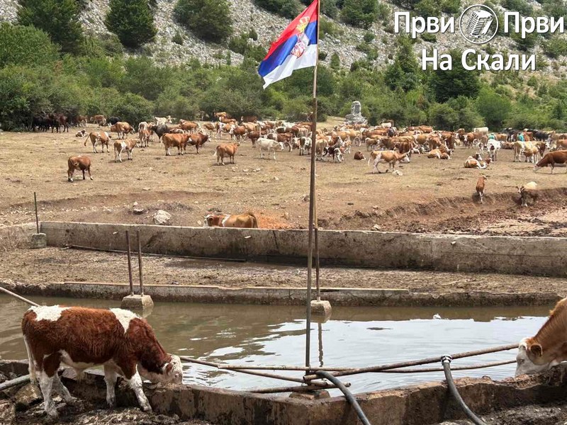 PRVI PRVI NA SKALI Suva Planina Po cetiri cisterne dnevno 15 dana za spas zivotinja PRVI PRVI NA SKALI Suva Planina Po cetiri cisterne dnevno 15 dana za spas zivotinja