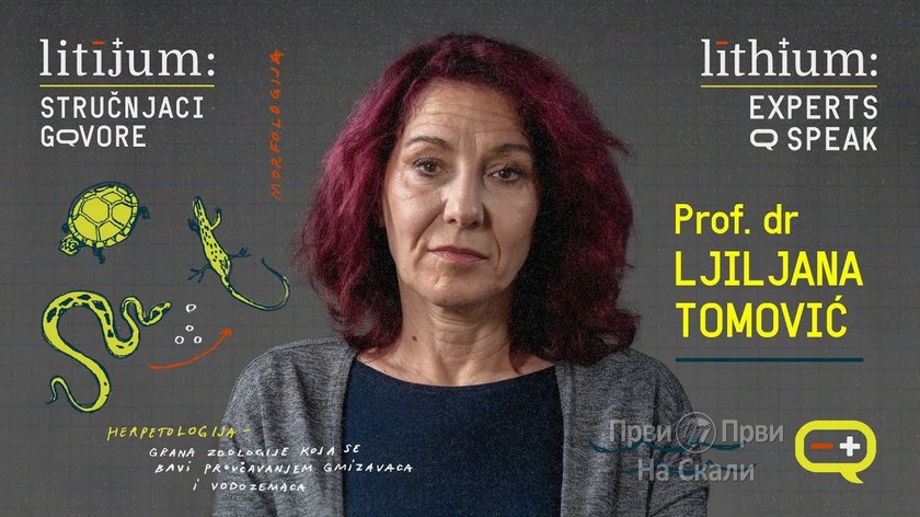 Litijum: Stručnjaci govore - prof. dr Ljiljana Tomović, biolog